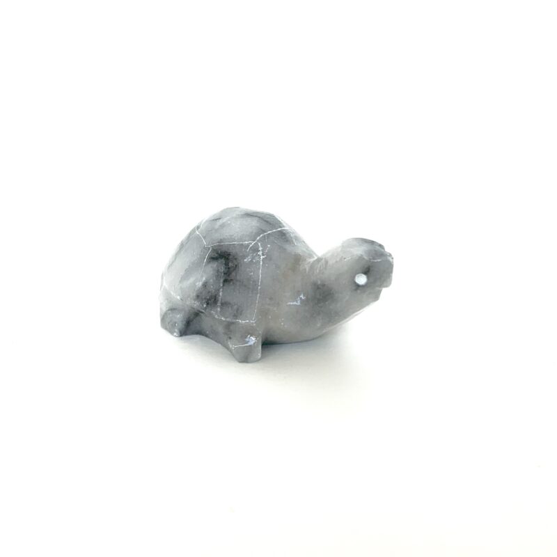 Tortugas de onix - Imagen 5