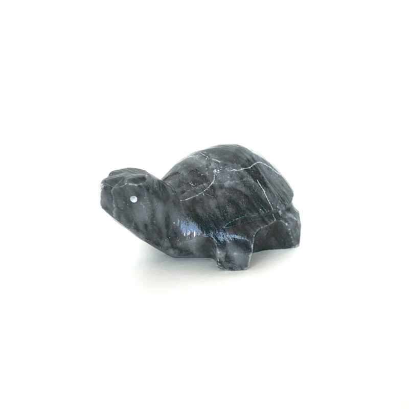 Tortugas de onix - Imagen 4