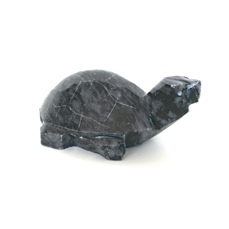 Tortugas de onix
